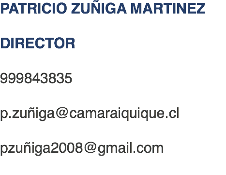 PATRICIO ZUÑIGA MARTINEZ DIRECTOR 999843835 p.zuñiga@camaraiquique.cl pzuñiga2008@gmail.com 